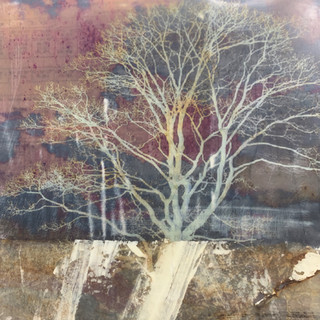branched.jpeg