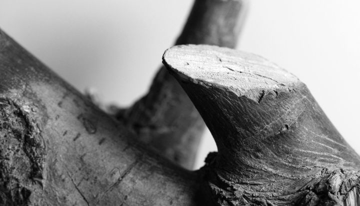 B&W14.jpg