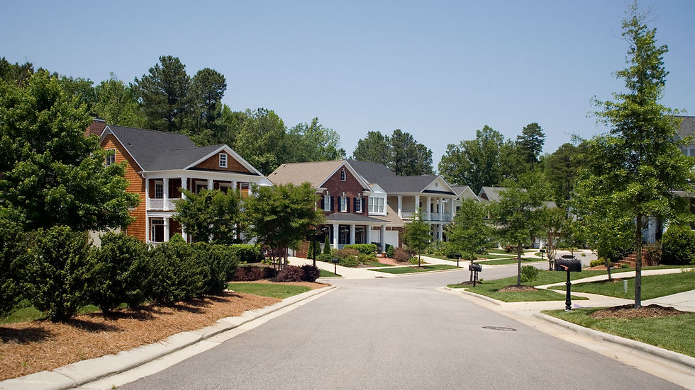 Quiet suburban street with lined houses, green trees, and clear blue sky on a sunny day