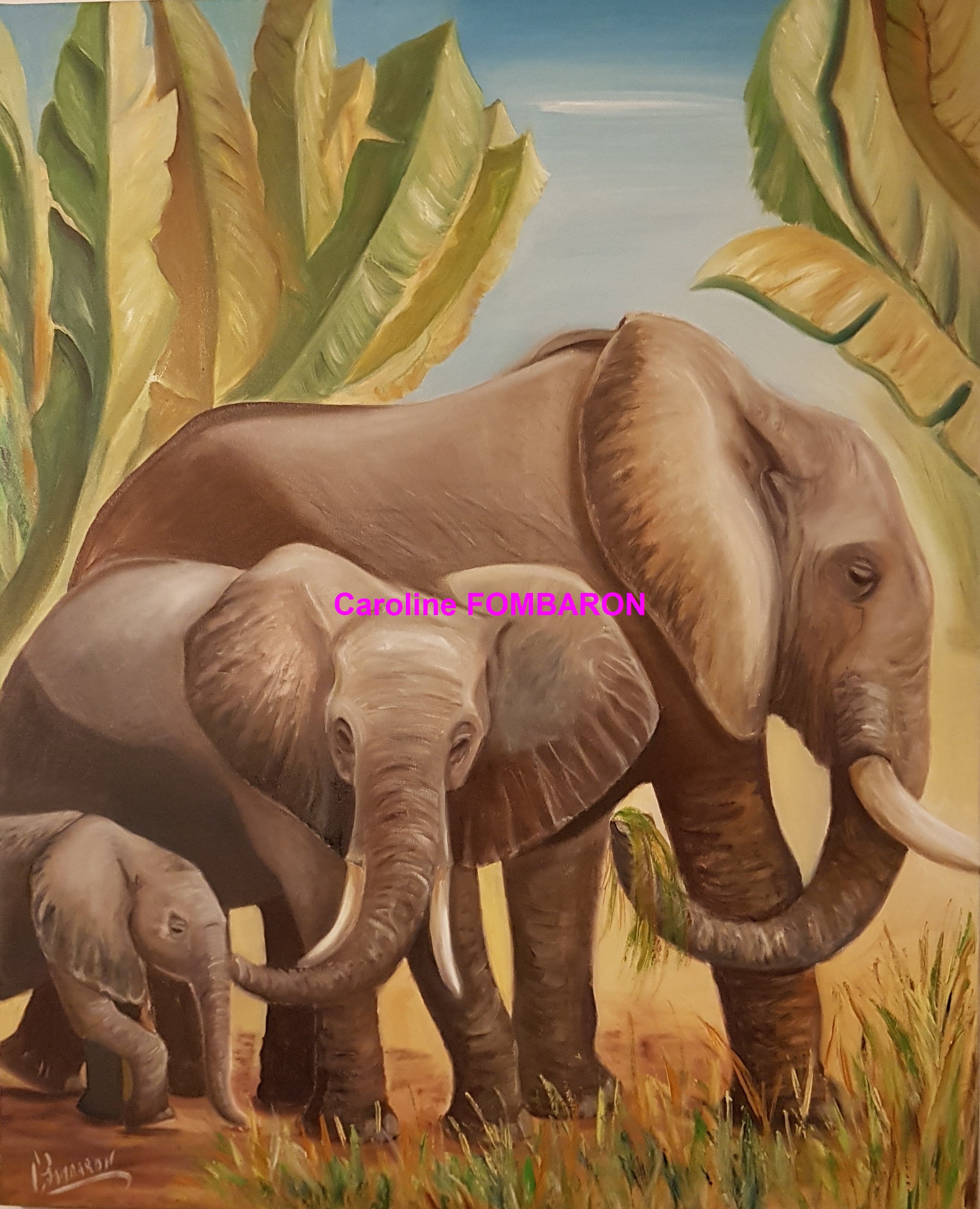 Trio d'éléphants dans la Bananeraie