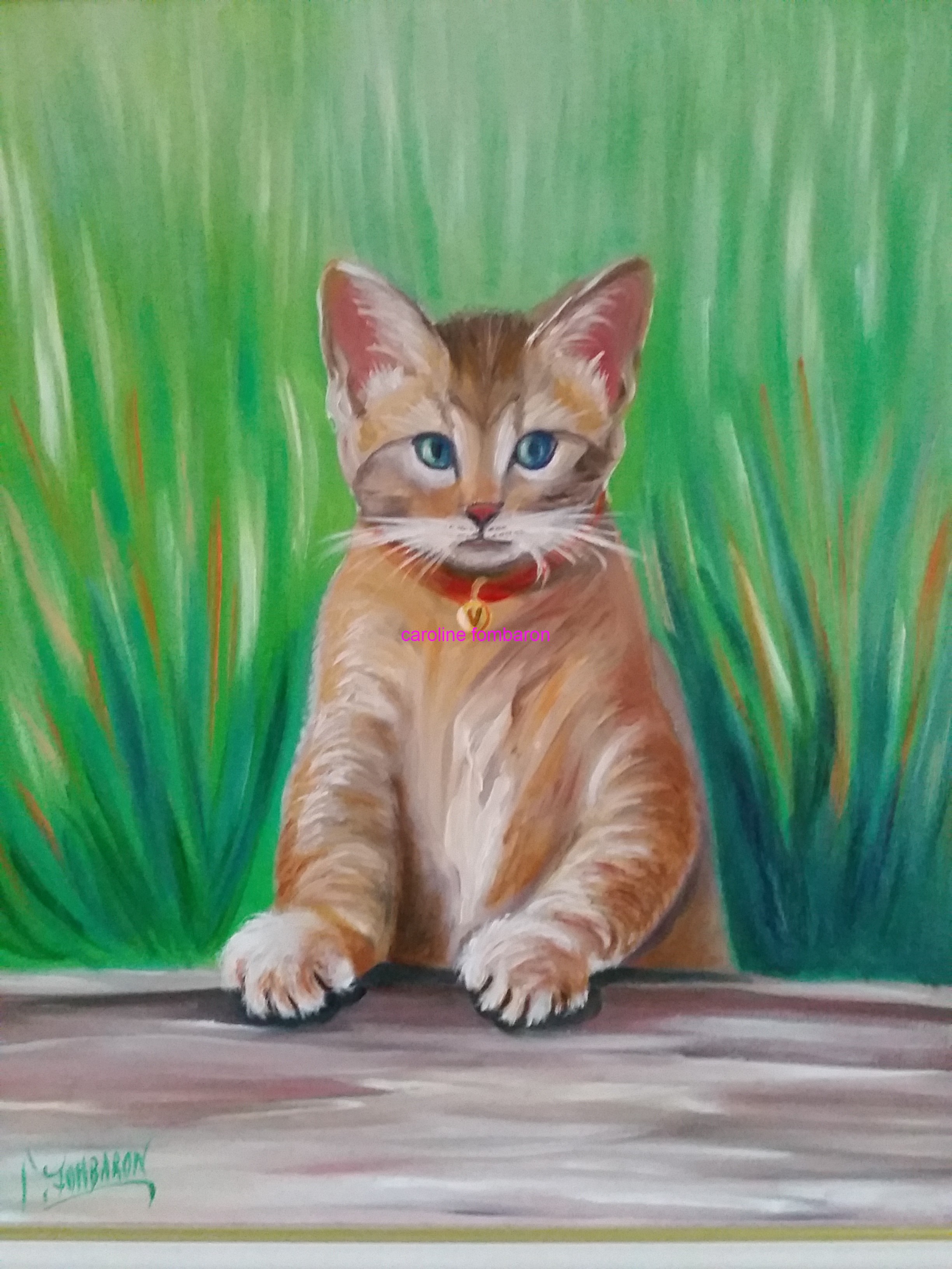 Le petit chat curieux