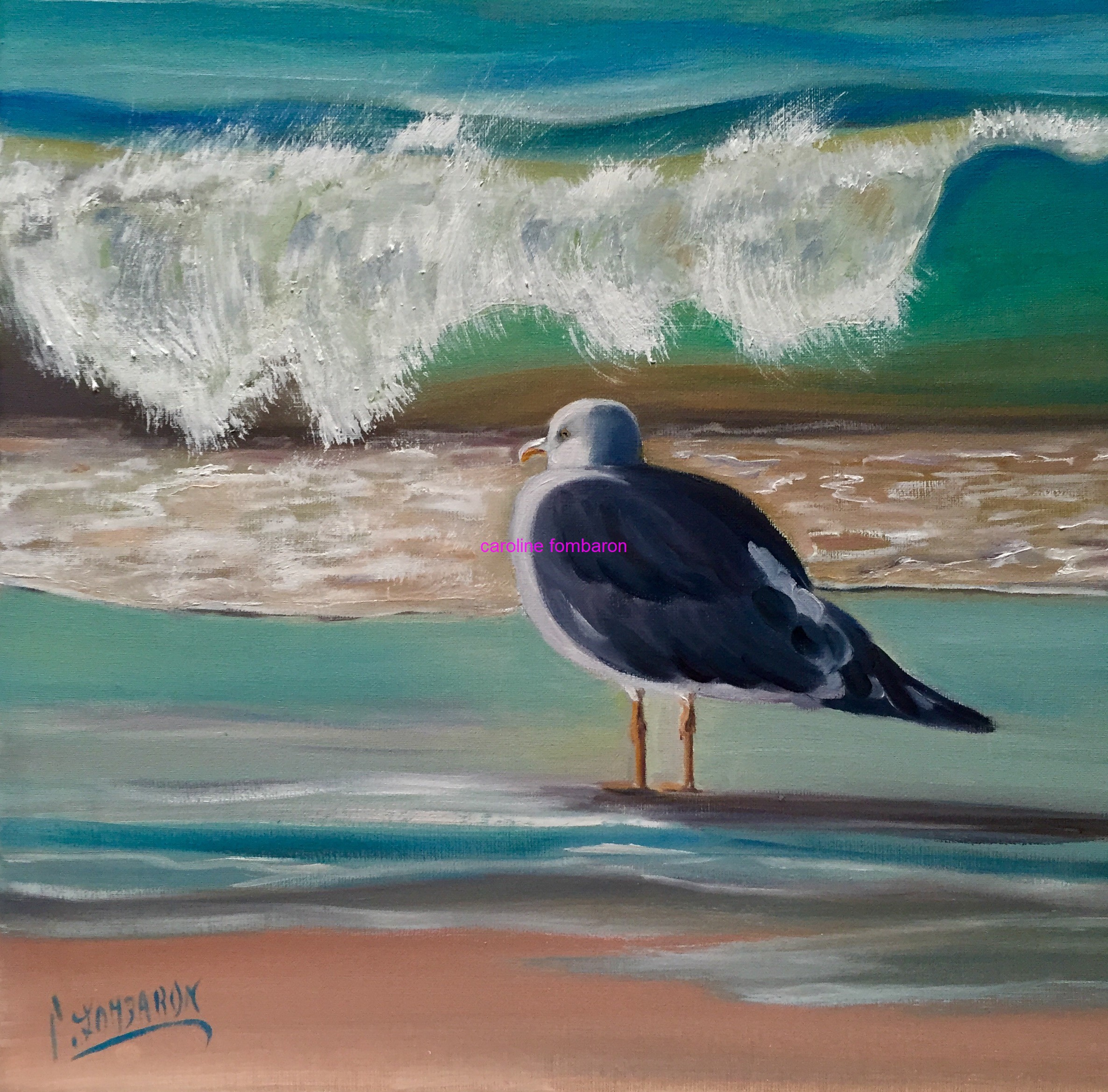 Mouette au petit matin