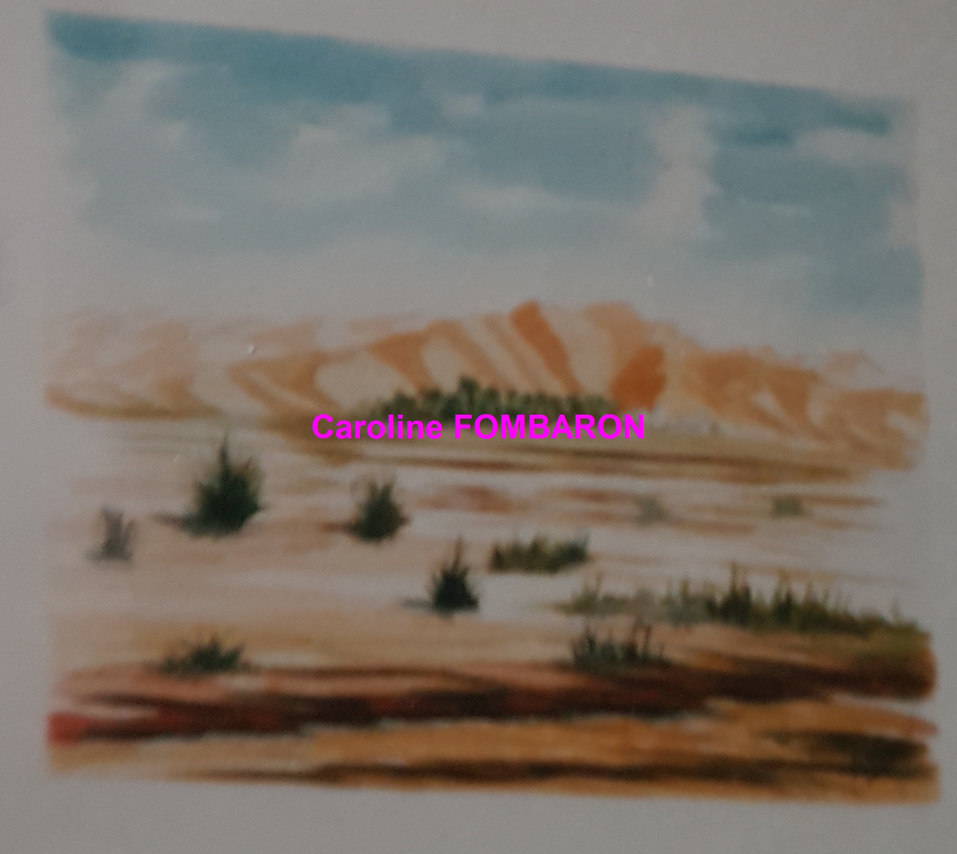 les dunes de l'Amatlich aquarelle 50x 65
