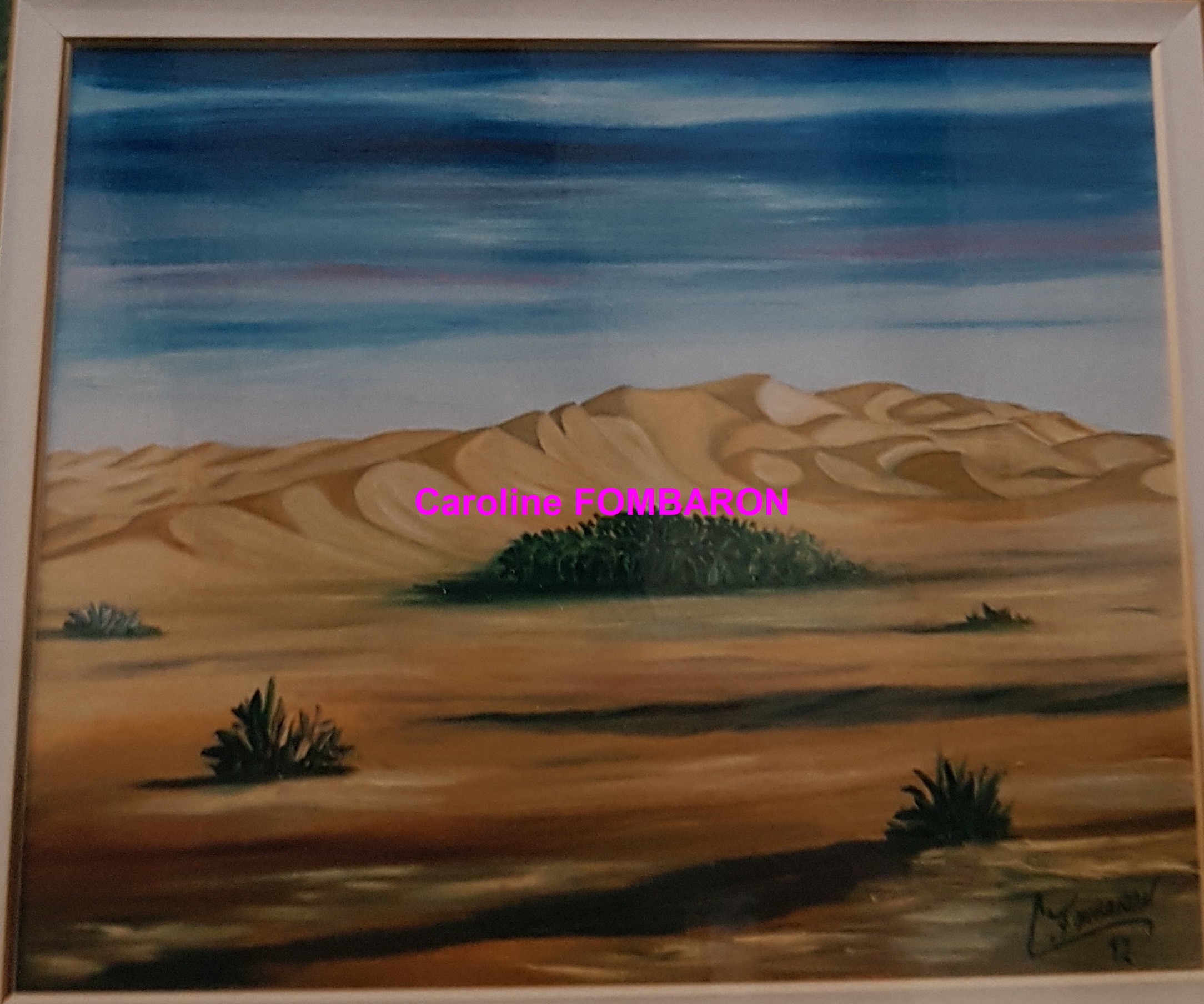 dunes mauritanie 15F