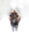 shutterstock_1709448376_edited_edited.jpg