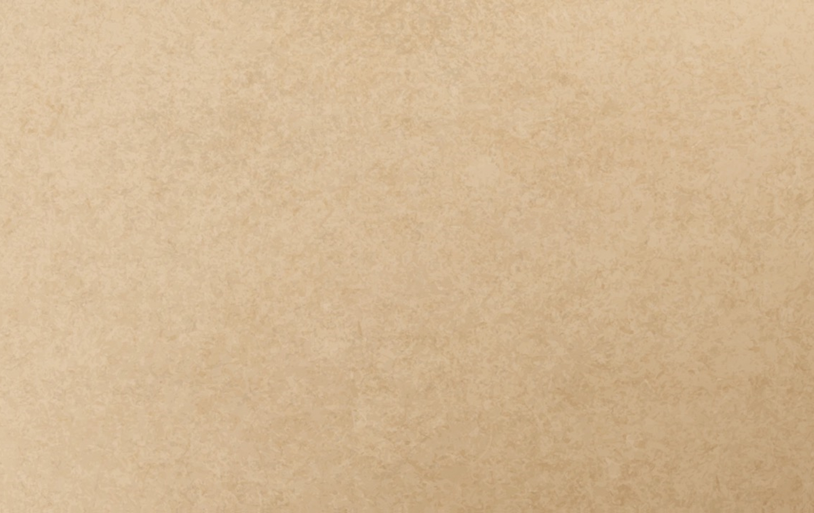 FSCP 2025 background.png