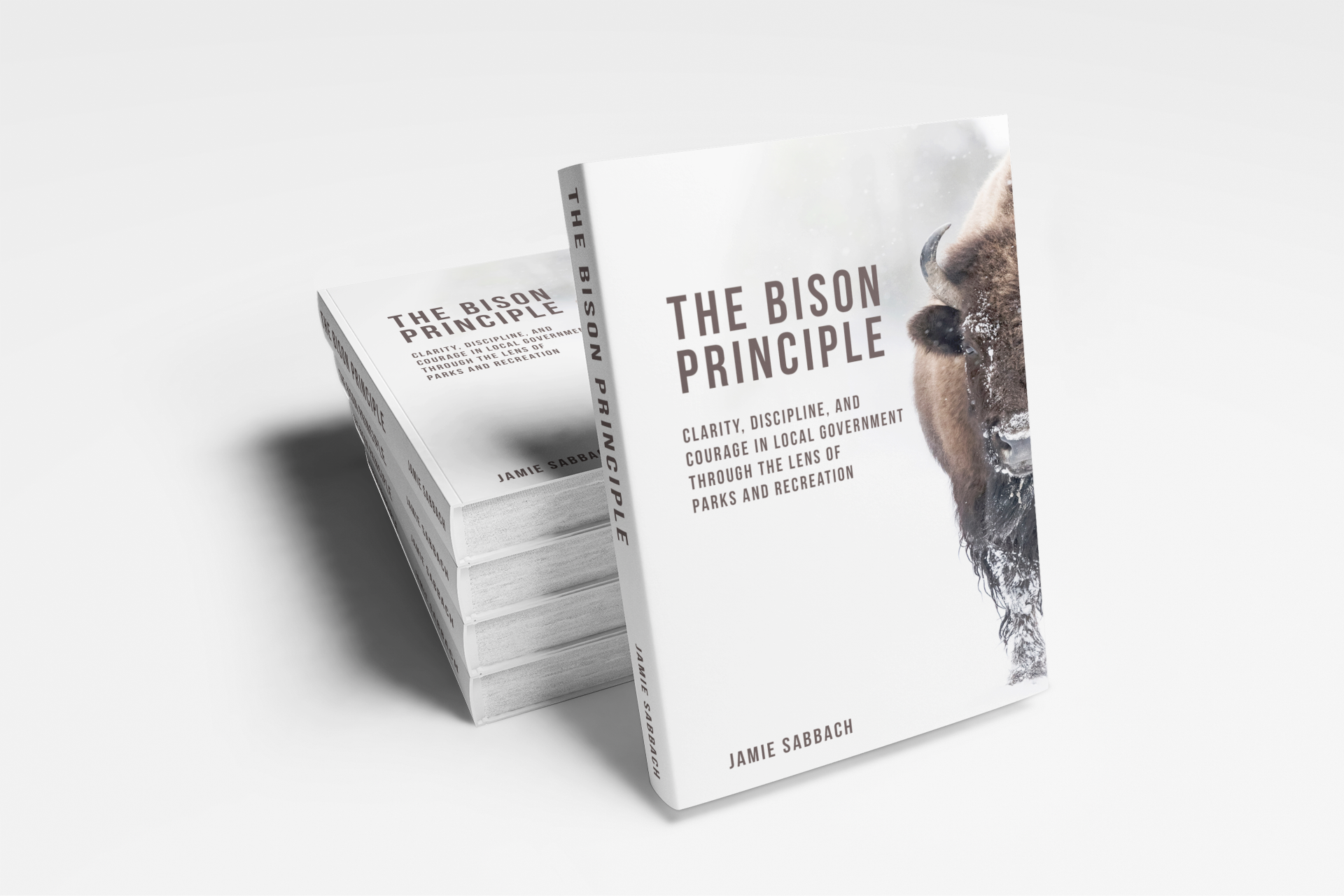 Bulk Paperback 10-pack