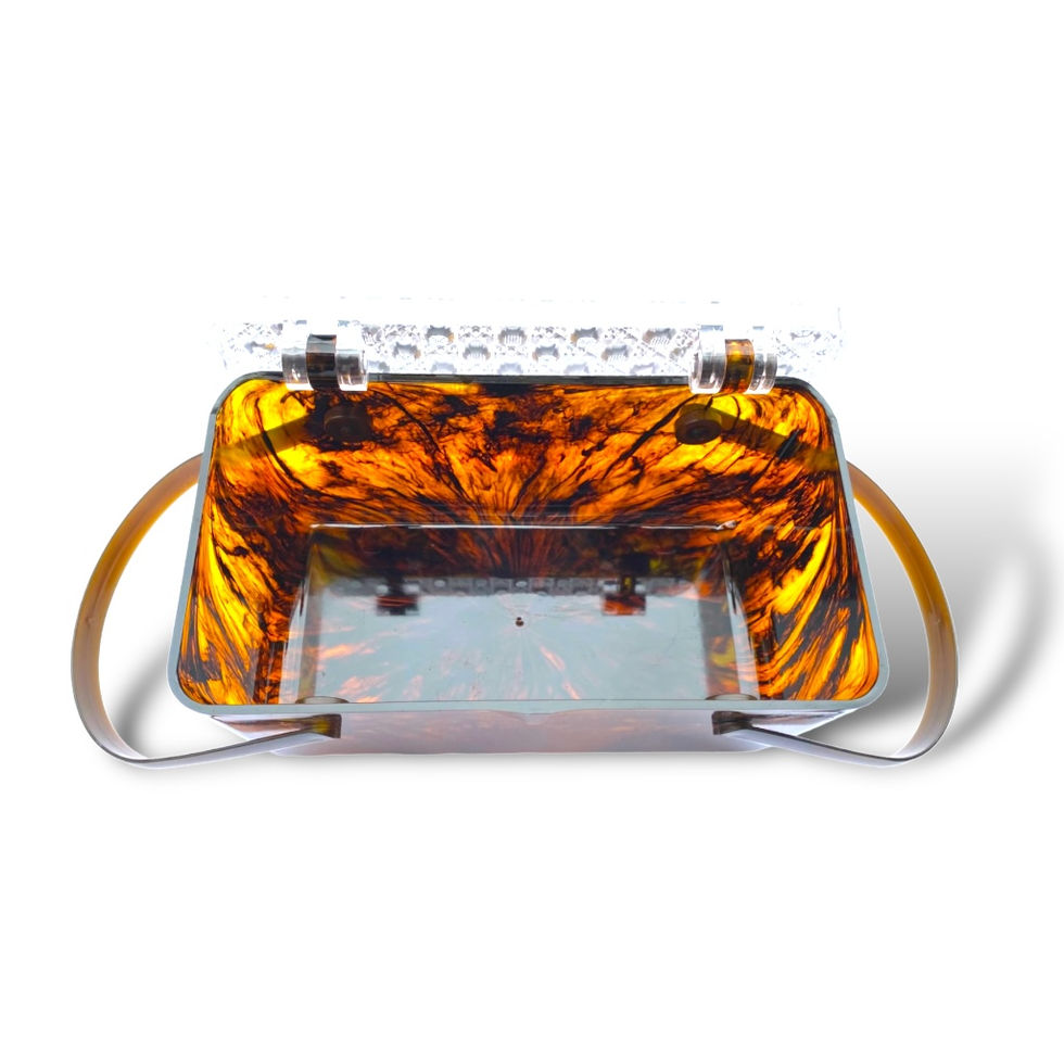 vintage celluloid lucite tortoise shell handbag