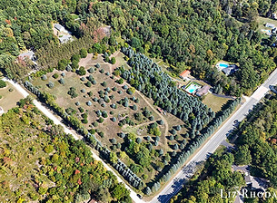DJI_20250919125814_0313_Dcopy.jpg