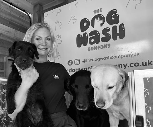 The Dog Wash Company