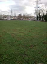 eco-friendly green roof