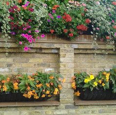 wall planters filled with colourful flowers