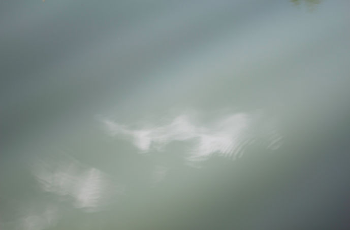 IMG_4185-Edit-2.jpg