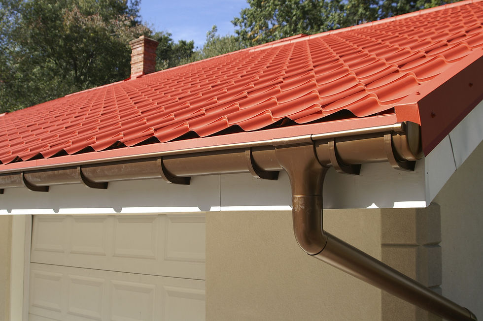 red roof with guttering