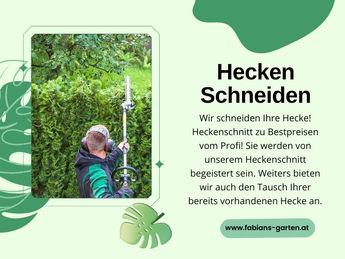hecken schneiden