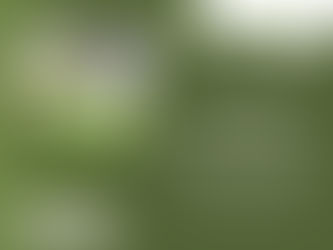 gartenpflege