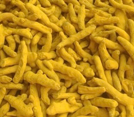 Turmeric-Finger-Double-Polished-Wet.jpg