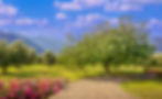 Fico-e-rose-2.jpg