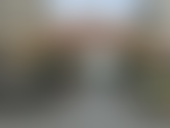 ザンリウ(Giang Liễu)置屋 ベトナム