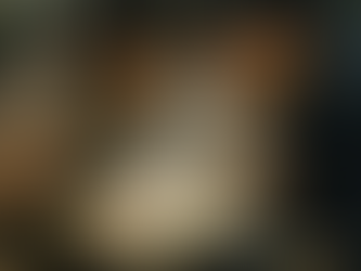 年に4回、彼女はソウルを選ぶ　[第２話]