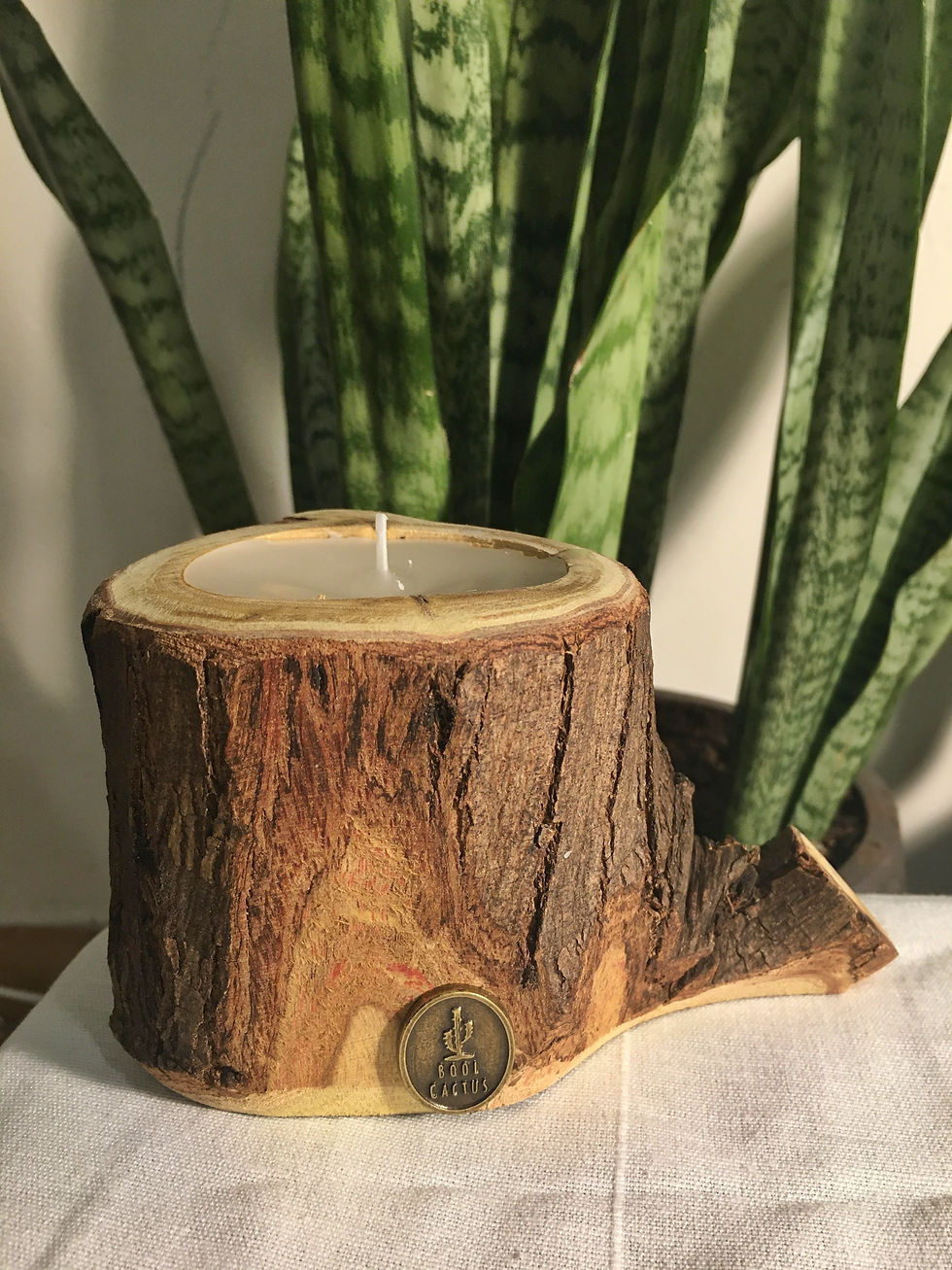 תמונה ממוזערת: בול שעווה