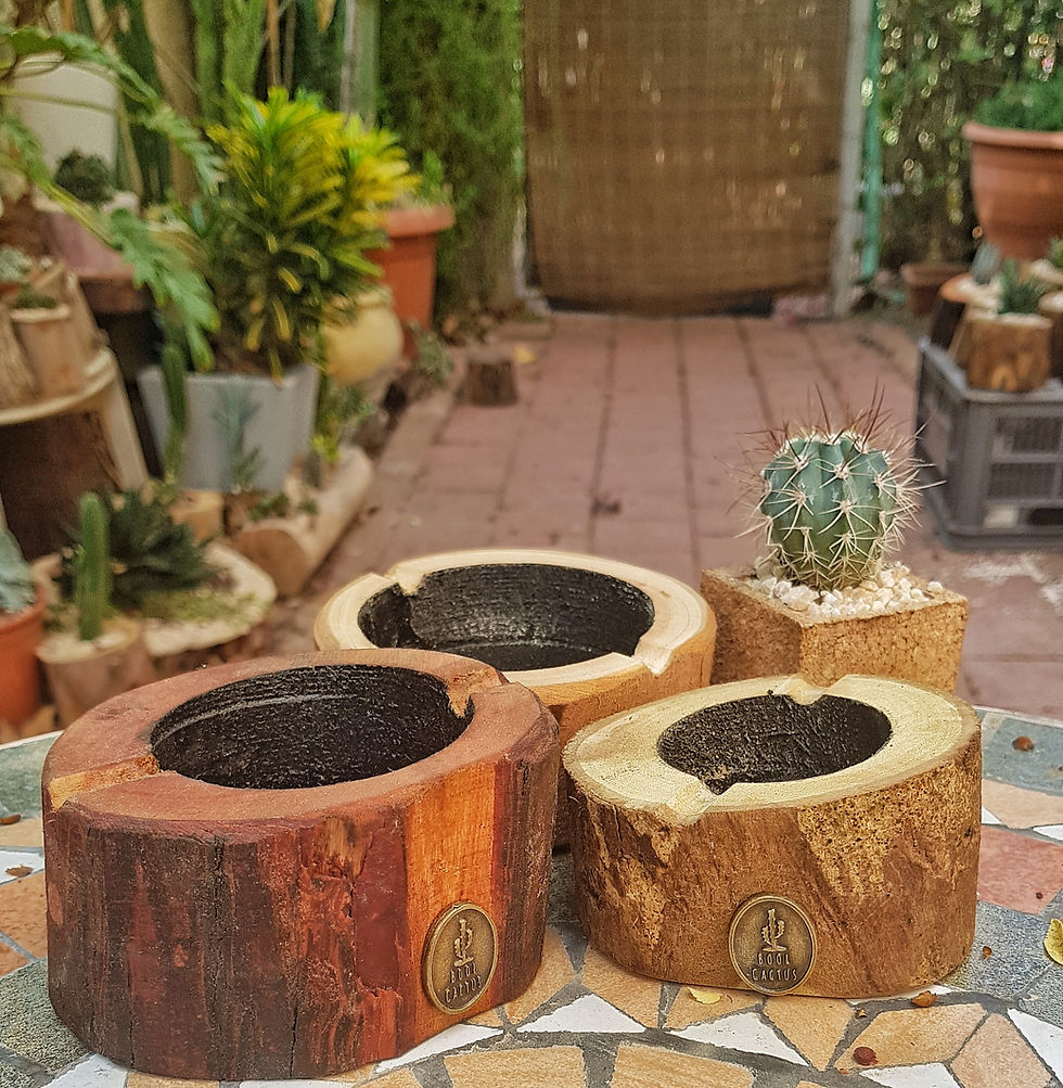 תמונה ממוזערת: Ashtrays - מאפרות