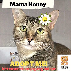 Honey.jpg