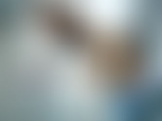 CAISSIE CANINE INSTRUCTION: WEIGHING in on your dog’s overall health