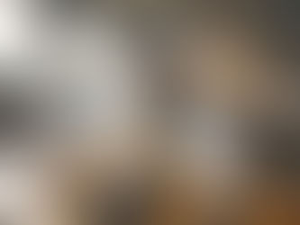 Caissie Canine Instruction: What Should I do if My Dog Swallows a Cigarette Butt?