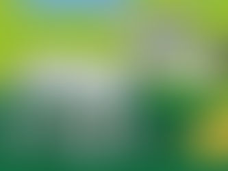 Caissie Canine Instruction: Vomiting and Diarrhea- When to See the Vet?