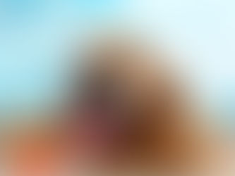 Caissie Canine Instruction: Hydrotherapy for Dogs