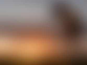 Caissie Canine Instruction: Grieving the loss of your dog.