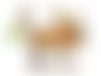 Caissie Canine Instruction: My dog has GAS!!!!!!