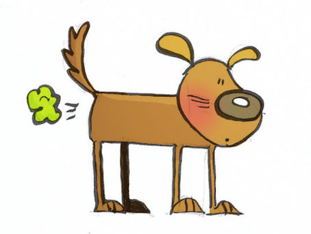 Caissie Canine Instruction: My dog has GAS!!!!!!