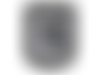 Caissie Canine Instruction: A Year in Review “Part 3”