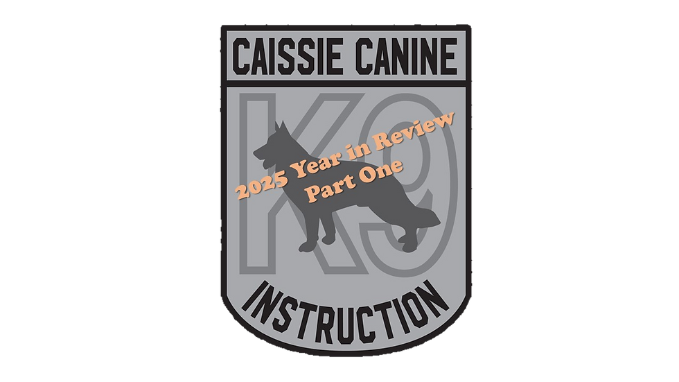 CAISSIE CANINE INSTRUCTION " A YEAR IN REVIEW 2025"