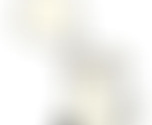 How Much Do Rescue Dogs Remember of Their Past?