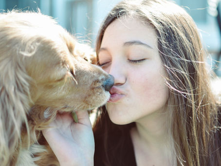 Caissie Canine Instruction: Doggie Kisses