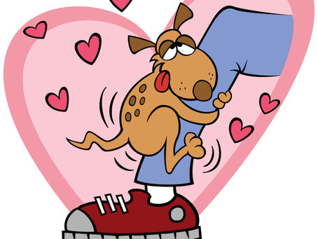 Caissie Canine Instruction: Why do dogs “hump”?