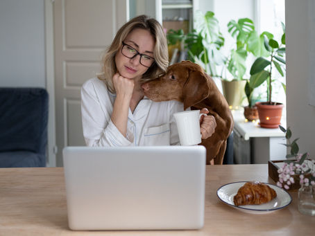 CAISSIE CANINE INSTRUCTION: FREQUENTLY ASKED QUESTIONS