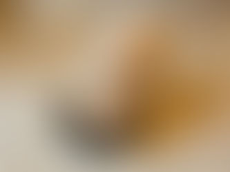 Caissie Canine Instruction: “Should we feed our dog raw food, or kibble?”