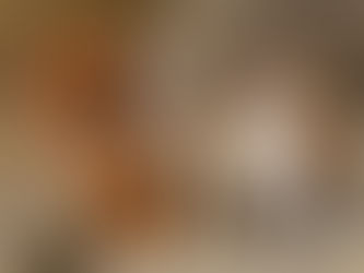 CAISSIE CANINE INSTRUCTION: WHY DOES MY DOG BARK?