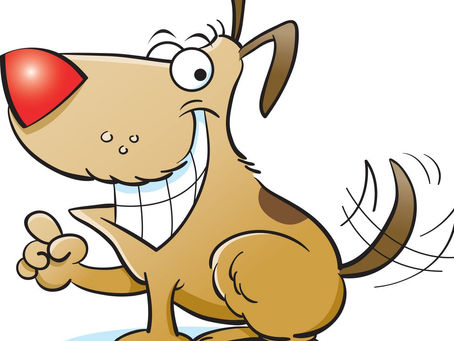 Caissie Canine Instruction:  Canine Dental Health