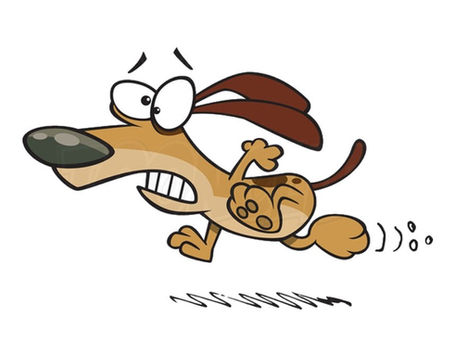 Caissie Canine Instruction: How to Recognize Stress in your K9