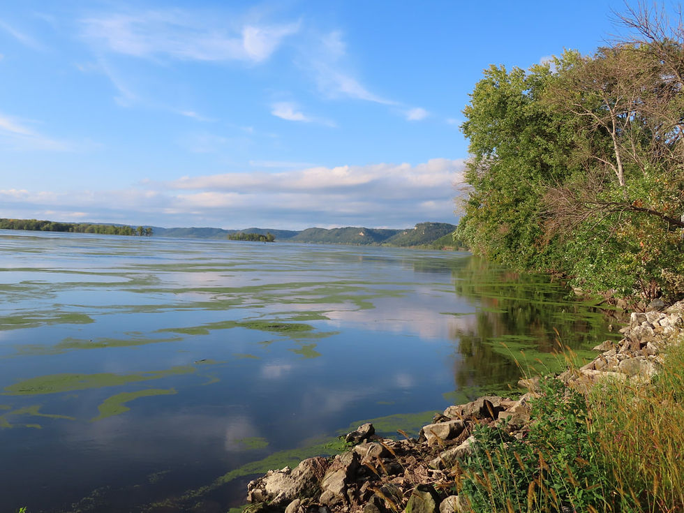 Thumbnail: mississippi river