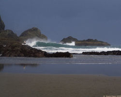 Stormy Surf