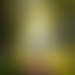 Walk & Talk Therapy: A Different Way to Do Therapy