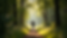 Eye-level view of a person walking on a forest trail surrounded by green trees