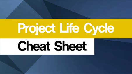 Project life cycle 