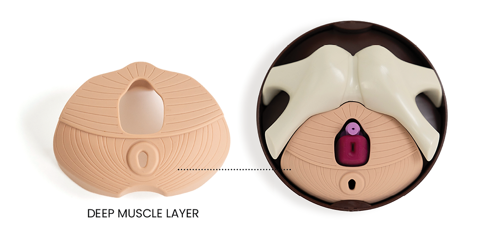 PF Muscle Kit Flyer 02.png